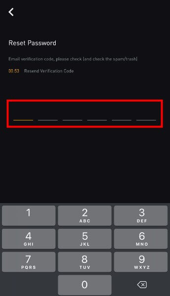 How to Login and Verify Account in Bybit How to Login and Verify Account in Bybit